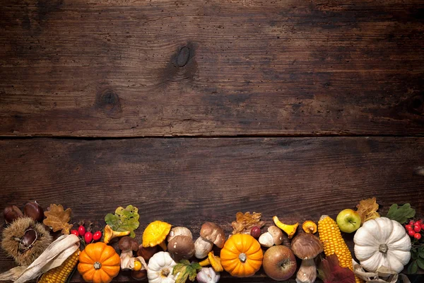 Thanksgiving background — Stock Photo, Image