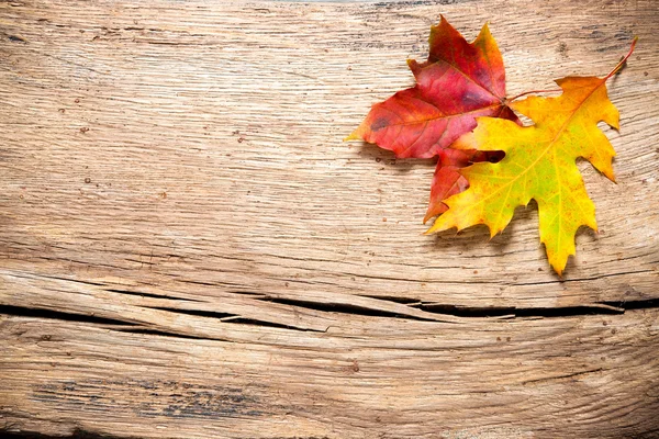 Осенний фон с цветными листьями — стоковое фото