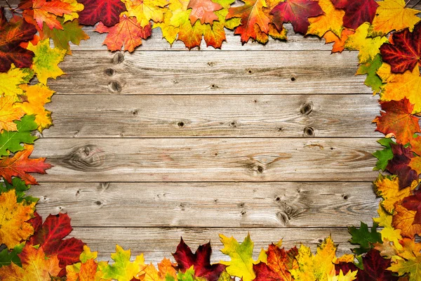 Frame from autumn maple leaves — Stock Photo, Image