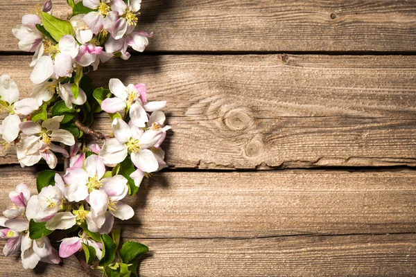 Apple blossoms on wooden surface — Stock Photo, Image