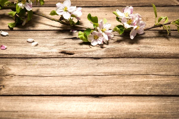 Flores de manzana en la superficie de madera — Foto de Stock