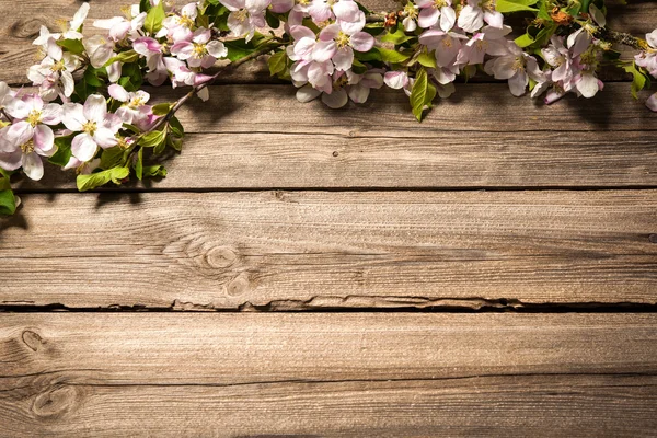 Apple blossoms on wooden surface — Stock Photo, Image