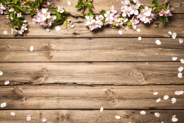 Appel bloesem op houten oppervlak — Stockfoto