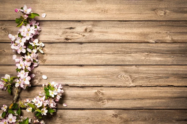 Apple blossoms on wooden surface