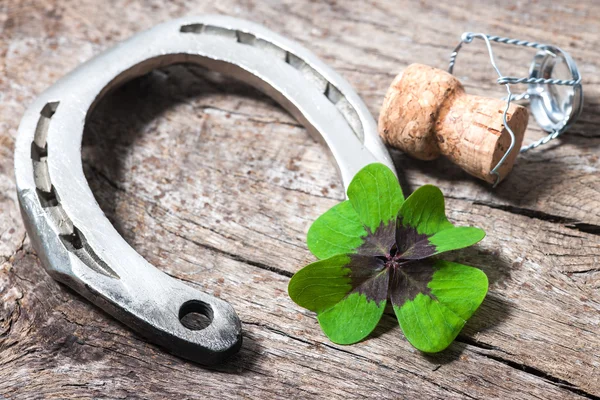 Horseshoe and shamrock — Stock Photo, Image