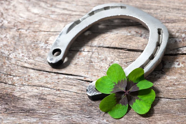 Hoefijzer en shamrock — Stockfoto