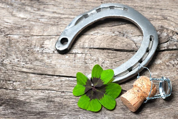 Hoefijzer en shamrock — Stockfoto