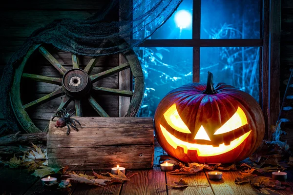 Halloween zucca testa jack lanterna — Foto Stock