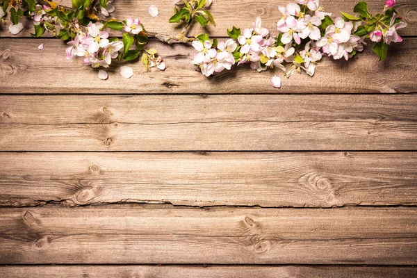 Jabloňové květy na dřevěné desce — Stock fotografie