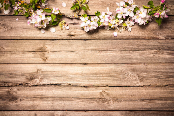 Apple blossoms on wooden surface