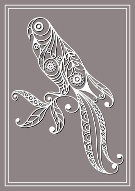 Dantelpapağan 2 dantel ile grafik illüstrasyon