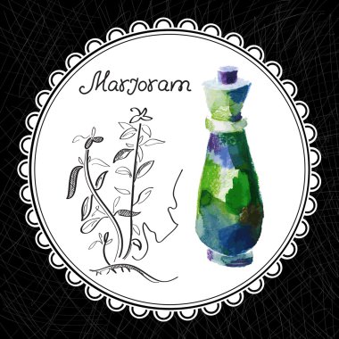 Marjoram.