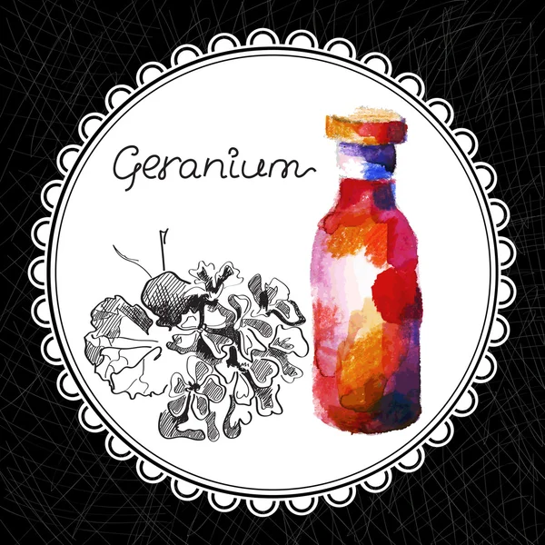 Geranium — Stock Vector