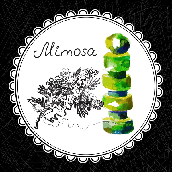 Mimosa. — Vector de stock