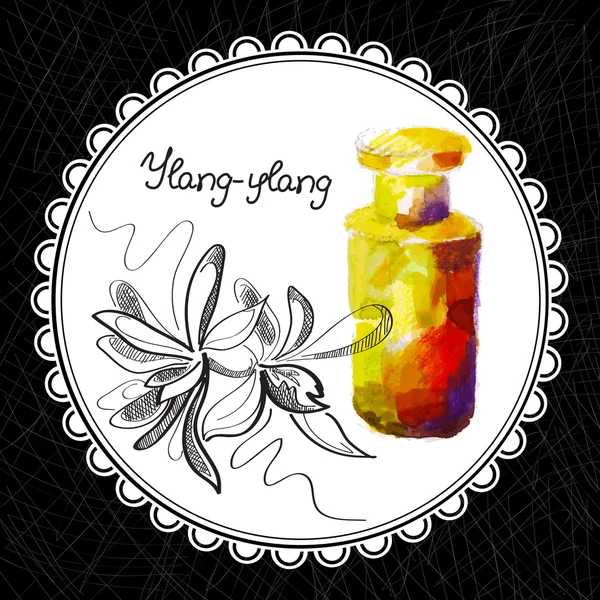 Ylang ylang — Vector de stock