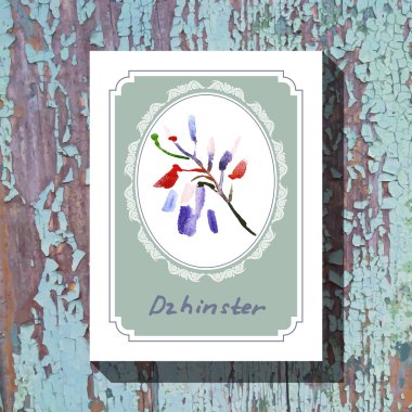 dzhinster