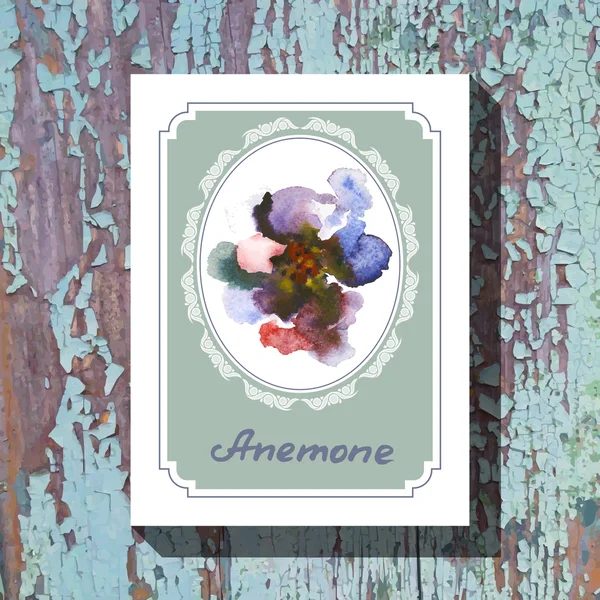 Anemone — Vettoriale Stock