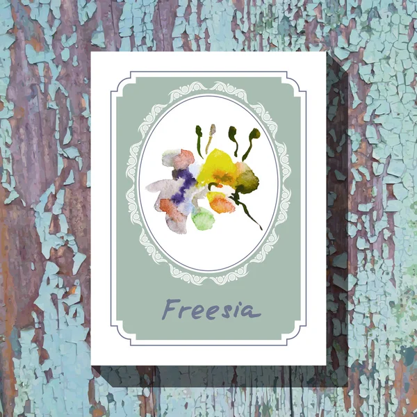 Freesia — Image vectorielle