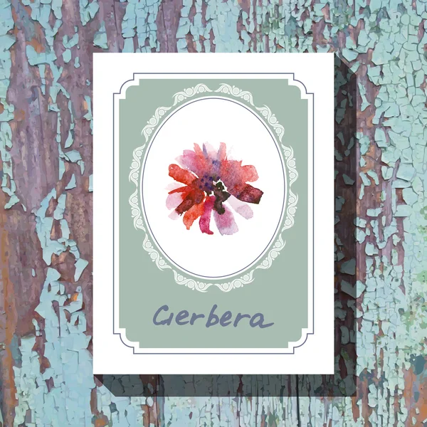 Gerbera — Vettoriale Stock