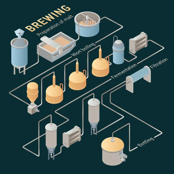 Processo di produzione della birra isometrica. Infografica vettoriale — Vettoriale Stock