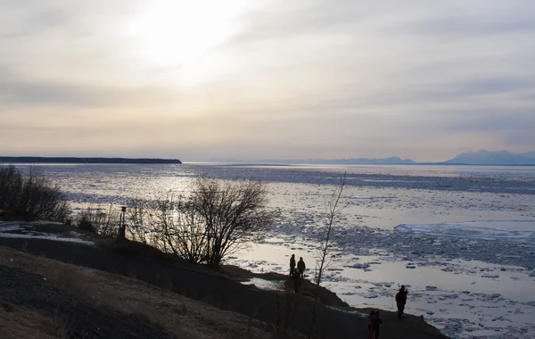 Alaska Natura Jesień Górach — Zdjęcie stockowe