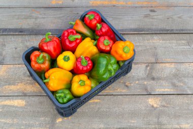 Kırmızı ve sarı olgun taze toplanmış biberler ahşap arka planda