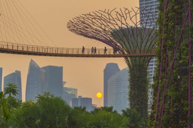 SINGAPORE, SINGAPORE - 16 ARALIK 2018 GÖREVİ: Singapur körfezi yakınlarındaki Gardens 'taki Supertree Gökyüzü Yürüyüşü Bahçelerdeki Güzel Günbatımı Süperağaç Korusu