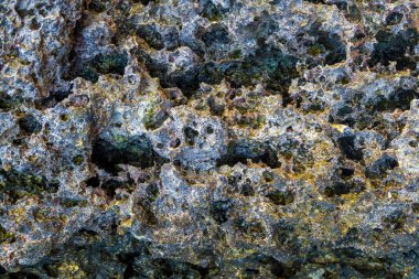 Ölü mercanlardan oluşan bir sarılma taşı. Sahildeki mercan desenleri. Soyut doku arkaplanı.