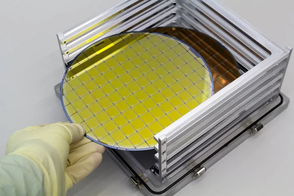 Silicon Wafers in steel holder box on table taken out by hand in gloves- A wafer is a thin slice of semiconductor material, such as a crystalline silicon, used in electronics for the fabrication of integrated circuits.