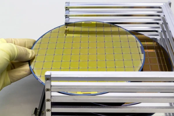 Silicon Wafers in steel holder box on table taken out by hand in gloves- A wafer is a thin slice of semiconductor material, such as a crystalline silicon.Wafer with microchips.Rainbow on silicon wafers.Color silicon wafers with glare.