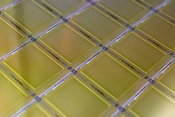 マイクロチップ付きシリコンウエハ-集積回路の製造に電子機器に使用される結晶シリコンなどの半導体材料の薄いスライスです。. — ストック写真