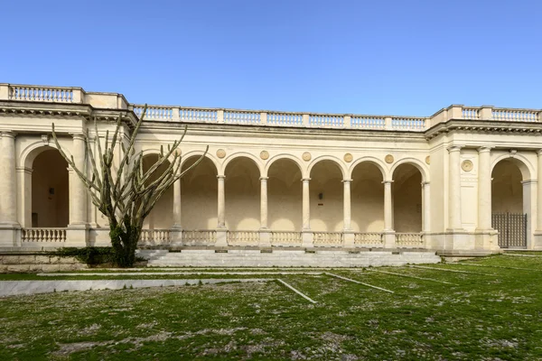 Kaktus i arcade w St. Stefano placu, Lavagna, Włochy — Zdjęcie stockowe