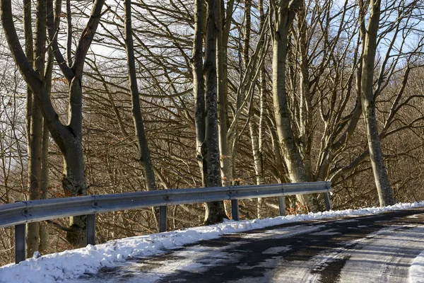 Route enneigée parmi le bois d'hiver, Italie — Photo