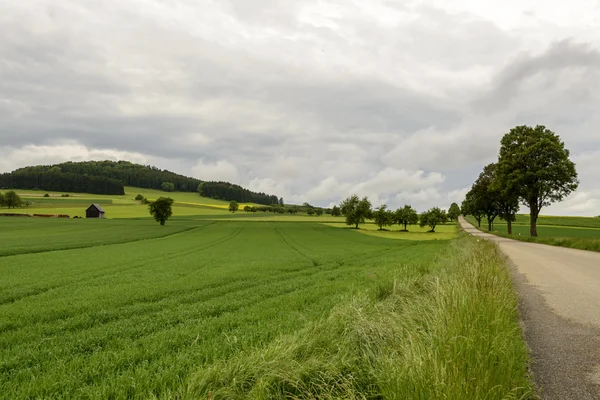 Bahar yeşil kırsal, Baden Wuttenberg, Almanya — Stok fotoğraf