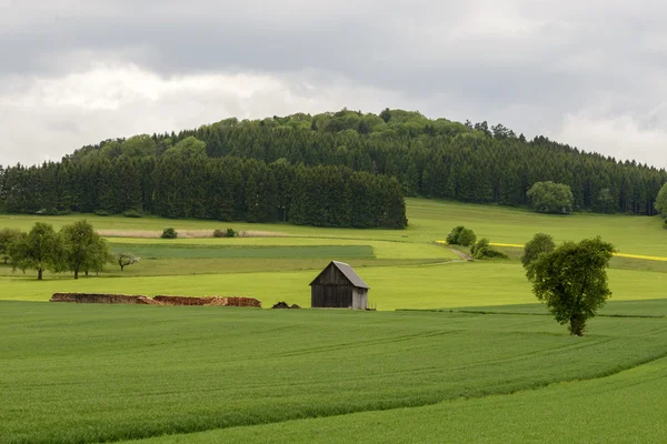 Houten hut in lente groene platteland, Baden Wuttenberg, Ge — Stockfoto