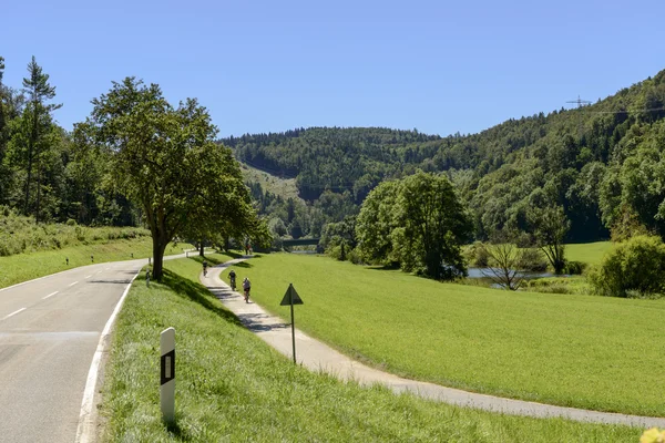 Дорога и велосипедная дорожка вдоль реки Донау возле Тиргартена, Германия — стоковое фото