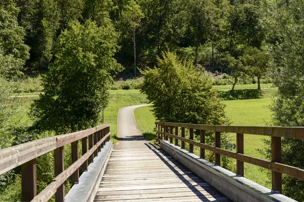 Wooden bridge and bike path on Donau river near Thiergarten, Ger — Stock Photo, Image