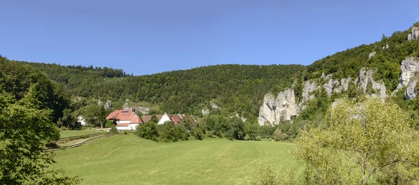 Glade con algunas casas en el río Donau cerca de Thiergarten, Alemania —  Fotos de Stock