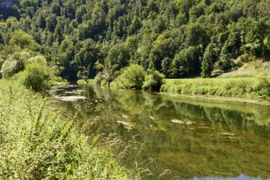 Neidingen, Almanya yakınındaki Donau nehri