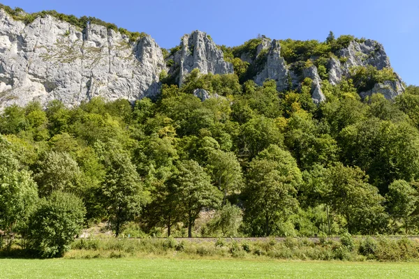 Acantilados fuera del bosque en el valle del río Donau cerca de Neidingen, G — Foto de Stock