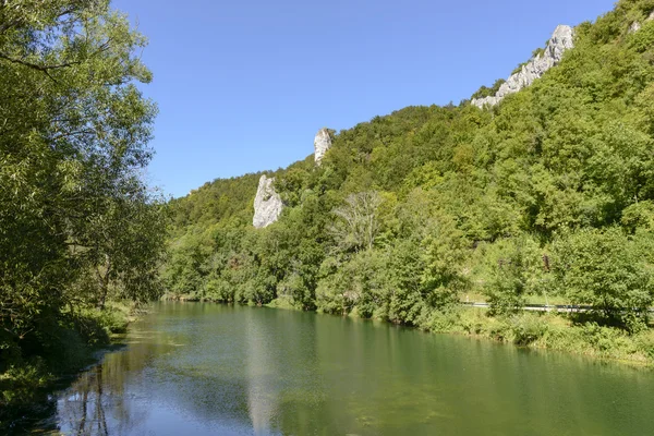 Klippor och skog på flod stränderna i Donau nära Thiergarten, Tyskland — Stockfoto