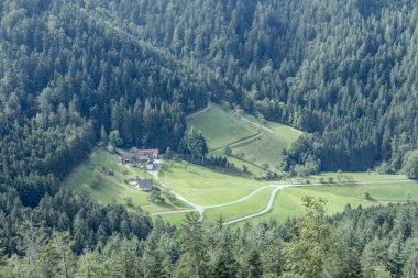 Oppenau, Kara Orman, Baden Wuttenberg, Almanya yakınlarındaki yüksek bir kuleden çekilen, yeşil ormanlık alanda,