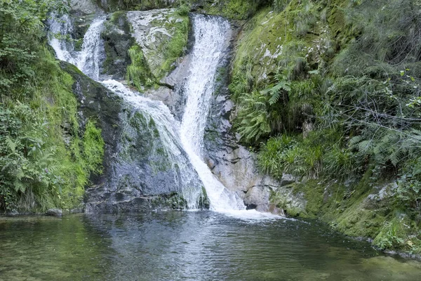 Čisté Vody Vodopádu Lierbach Lesích Černého Lesa Zastřelen Allerheiligenu Černý — Stock fotografie