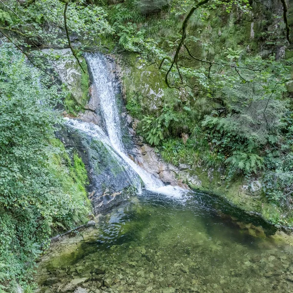 Průzračný Rybník Bere Lierbach Vodopád Vody Lesích Černého Lesa Zastřelen — Stock fotografie