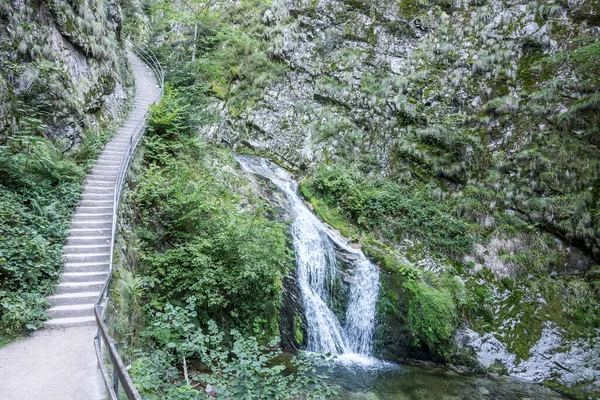 Strmé Schodiště Lemuje Vodu Vodopádu Lierbach Lesích Černého Lesa Zastřelen — Stock fotografie