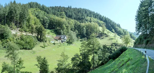 Panorama Landskap Med Grön Lierbach Dalen Bland Schwarzwald Fotograferad Nära — Stockfoto