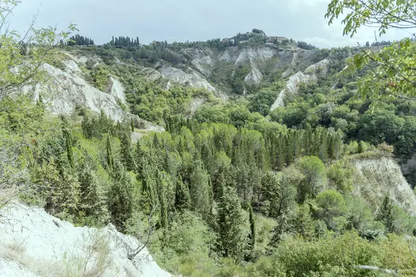 Calanques Dures Végétation Épaisse Dans Paysage Vallonné Toscan Tourné Dans — Photo