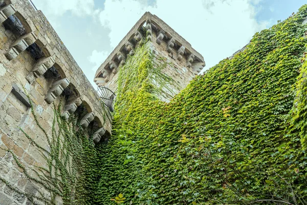 Exuberante Enredadera Verde Mazmorra Monaldeschi Castlestone Filmada Con Luz Brillante —  Fotos de Stock