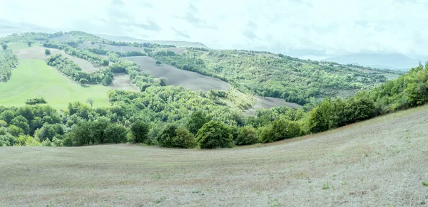 意大利马切马凯拉塔Pievebovigliana附近的景色 绿色丘陵地带 有轻微的斜坡 光线明亮 — 图库照片
