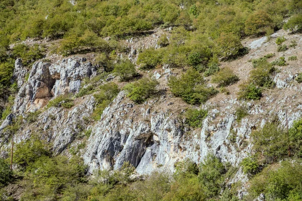 Paisaje Con Árboles Duras Laderas Rocosas Del Desfiladero Del Río — Foto de Stock